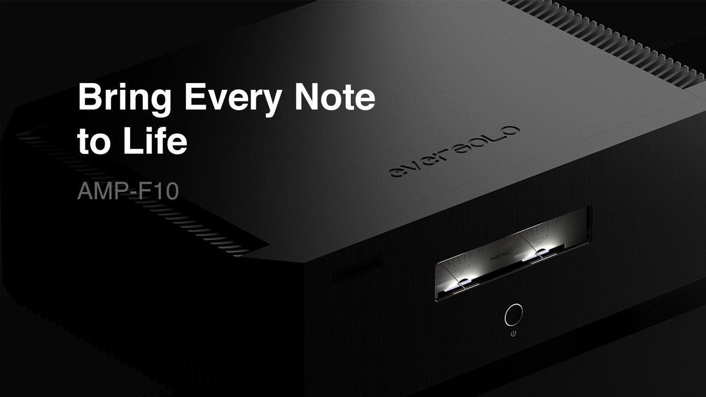 EVERSOLO AMP-F10 Power Amplifier
