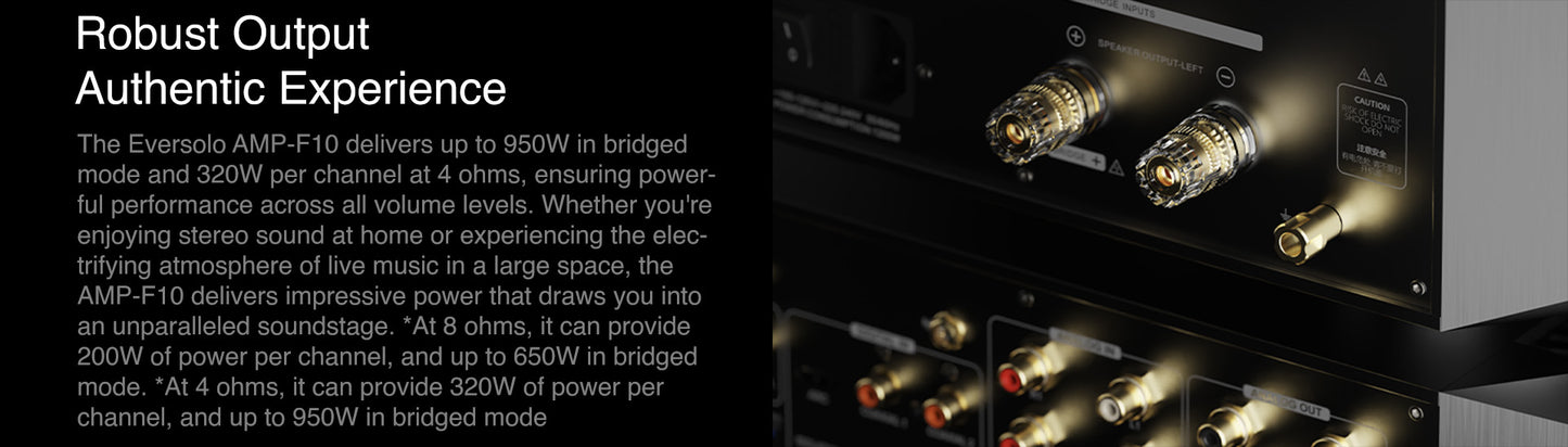 EVERSOLO AMP-F10 Power Amplifier