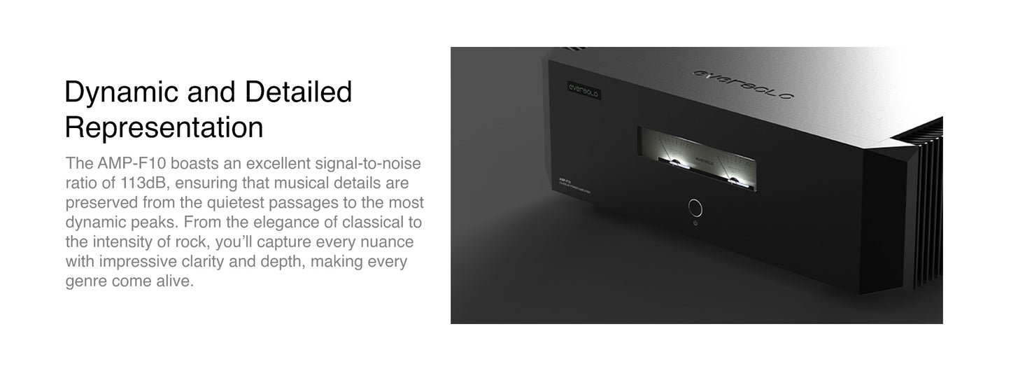 EVERSOLO AMP-F10 Power Amplifier