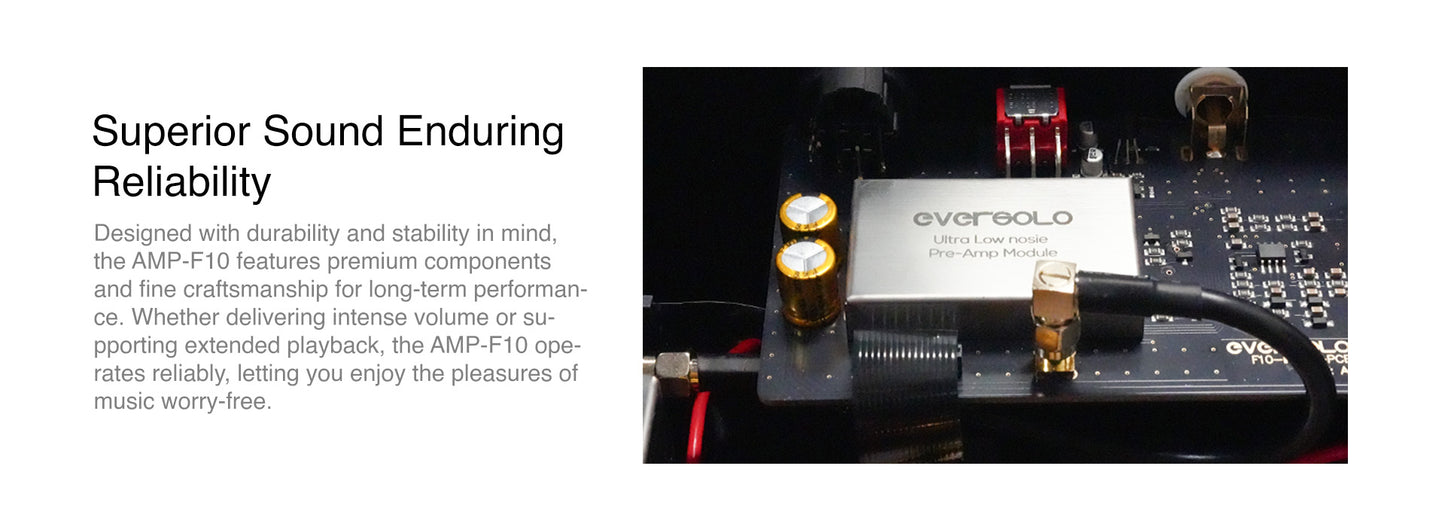 EVERSOLO AMP-F10 Power Amplifier