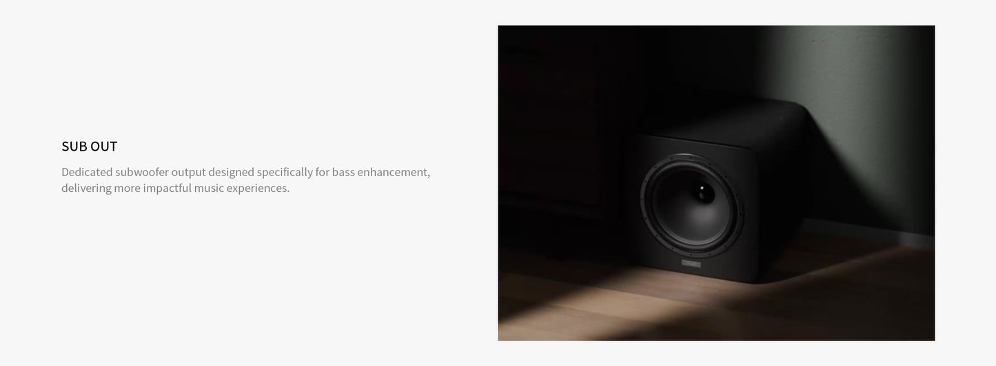 Eversolo Play Music Streamer 有CD版本