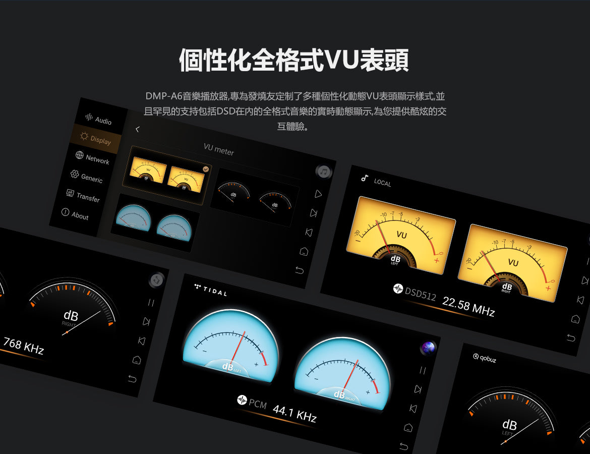 DMP-A6 Standard